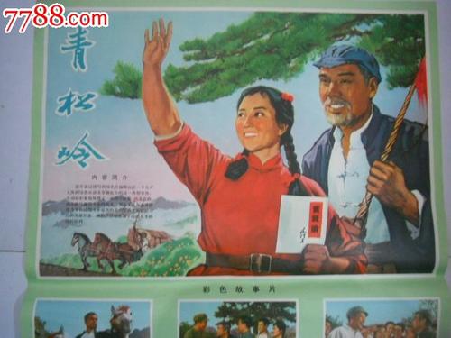 购买假新南威尔士驾照